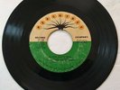 EMORY AND THE DYNAMICS - PEACHTREE Record Company