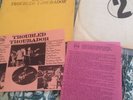 Bob Dylan TROUBLED TROUBADOR BlueVinyl Bootleg 1970 TMOQ Basement Tapes The Band