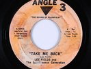 Northern Soul 45 - Lee Fields - Take Me Back - Angle 3 - mp3