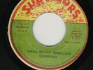 SURVIVORS - THIRD WORLD REBELLION - TUFF 70's  ROOTS