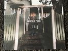 Knuckle Puck While I Stay Secluded 1st Press RED BLUE W WHITE SPLATTER NM OOP
