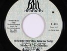 Crossover Soul 45 - Shirley & The Shirelles - Never Give You Up - Bell - mp3