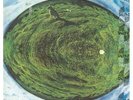 Mike Oldfield ?Lp Vinile Hergest Ridge / Virgin ?OVED 163 Sigillato