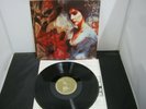 Vinyl Record Album ENYA WATERMARK (1)