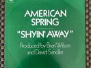 American Spring 45 w/ Picture Sleeve - Shyin Away Promo Brian Wilson Beach Boys