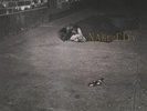 Naked City by John Zorn (Vinyl, Aug-2016, 1972)