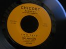 ZZ8 CHICORY 1600 GARAGE ROCK DOO WOP THE RENAULTS TEN QUESTIONS TWO FACE