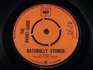 AVANT GARDE   Naturally Stoned   EX/EX MINUS   1968 UK CBS 3704   Psych Hippie D