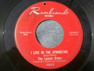 1967 GARAGE--LEMON DROPS--I LIVE IN THE SPRINGTIME--REMBRANDT--FIRST PRESSING