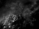 Scott Walker + Sunn O))) - Soused vinyl LP NEW/SEALED IN STOCK