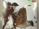 Bring Me The Horizon - This Is What The Edge Of Your Seat Was Made For LP NEW