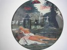 WITCHFINDER GENERAL Death Penalty UK LP picture disc 1982 ex+