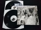 BJORK Vespertine 2x12 LP Original 2001 EU Press RARE w/ Inserts ( Polydor ) NM