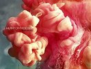 MUTINY ON THE BOUNTY-DIGITAL TROPICS (UK IMPORT) VINYL NEW