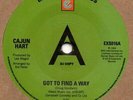 Cajun Hart Got To Find A Way Expansion DEMO Limited 100 Numbered on Flipside Sou