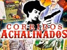 USB Corridos De Los 90s Chalino Sanchez Saul Viera Jorge Gamboa Narquillo Y Mas
