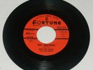 BLUES 45 RPM - DOCTOR ROSS - FORTUNE 857 - 