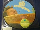 BLACK MOTH SUPER RAINBOW Picture Disc 12