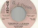 SATINTONES TOMORROW AND ALWAYS / A LOVE THAT CAN NEVER BE