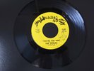 THE VOGUES - 