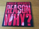 ANGELIC UPSTARTS - REASON WHY ? - 1983 LP WITH INNER SLEEVE EX- LOTS MORE OI