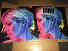 DIDO STILL ON MY MIND BLUE VINYL  LP + HAND SIGNED ART PRINT *EXCLUSIVE* SEALED
