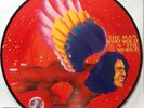David Bowie - The Man Who Sold The World - NEW. RSD PICTURE DISC Vinyl LP