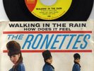 the RONETTES 