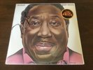 MUDDY WATERS I'm Ready 1978 LP  Blue Sky ?– PZ 34928 Stereo SEALED