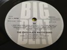 Garage Rock LP : The Chocolate Watch Band   44   Big Beat WIKA 25 Gatefold
