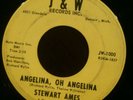 SUPER RARE 64 Detroit Soul-Stewart Ames King for a Day/Angelina, Oh Angelina VG+