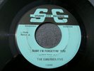 1967 GARAGE--EMBERMEN FIVE--BABY I'M FORGETTIN' YOU--STUDIO CITY 8088