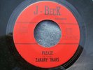 1967 TEXAS GARAGE--ZAKARY THAKS--PLEASE / WON'T COME BACK--J-BECK 1101