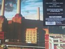 Pink Floyd: Animals: 180g Vinyl LP