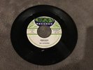THE CATALINAS 45 -  SPEECHLESS / FLYING FORMATION WITH YOU - Hear Both