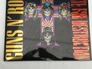 Guns N Roses *Appetite for Destruction  LIMITED DOUBLE RECORD LP VINYL SET