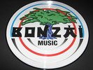 Picture Vinyl 003 Bonzai Cherrymoon Trax The House of House NEU absolute Rarität