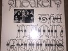 The Flamin Groovies rare '68 USA ONLY 10