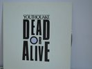 Dead Or Alive Youthquake Rare Japanese Picture Disc Vinyl