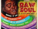 James Brown - Sings Raw Soul LP - King Mono VG+