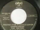 northern soul double sider / The Trends Thanks For A Little Lovin, Earl Jackson.
