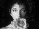 KATE BUSH REMASTERED IN VINYL 2 (II) BOX SET VINYL LP NEW SEALED MINT