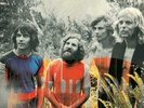 TAMAM SHUD - EVOLUTION (LP)   VINYL LP NEW