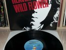 LP NICK DRAKE - HEAVEN IN A WILD FLOWER - ITALY - ORL 19826 - 1ST