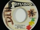 Bob Andy/Wailers 
