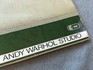 ANDY WARHOL ART COVER ITALIAN FLAG on Loredana Berte Album Made in Italy ARIOLA
