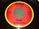 The Grasshoppers the Wasp/Pink Champagne(and Red Roses) Sunburst VG+ 45 Ohio