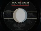 Funk 45 SOUL Can You Feel It/Love, Peace And Power on Musicor