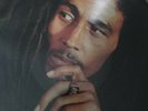 Bob Marley, Legend the best Of, Vinly picture LP