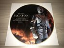 Michael Jackson History Picture Disc Display No Music No Promo